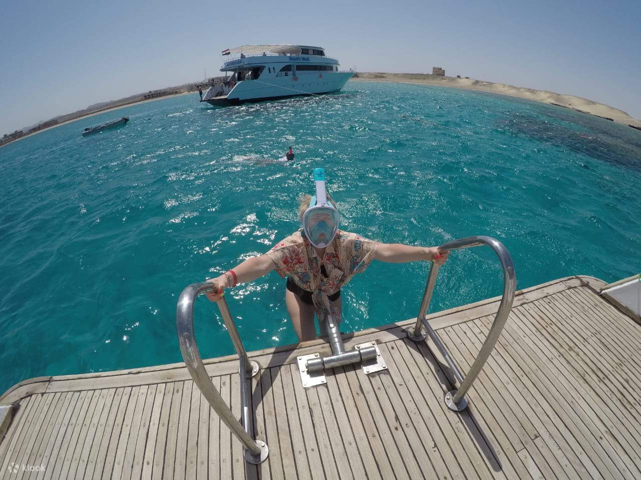 Bersedia untuk pertemuan yang mengujakan dengan ikan lumba-lumba liar di Laut Merah