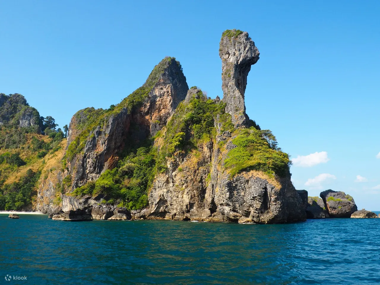 来自甲米的生物发光游泳