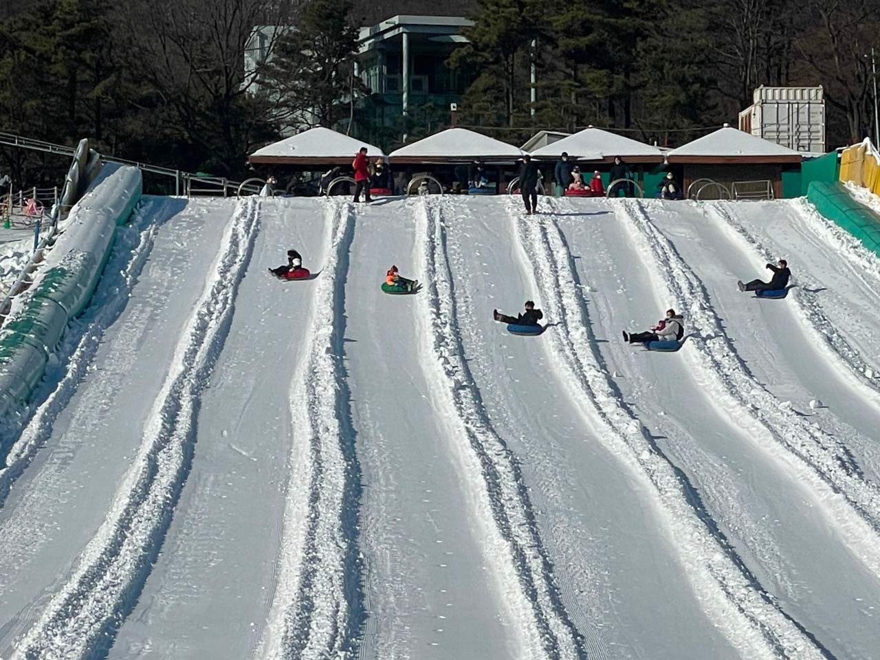 Incheon Ice Fishing & Sled Day Tour From Seoul Klook Singapore