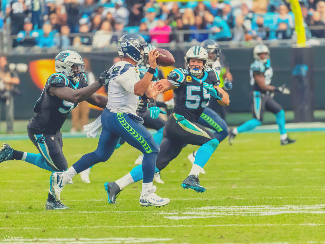Carolina Panthers di Bank of America Stadium
