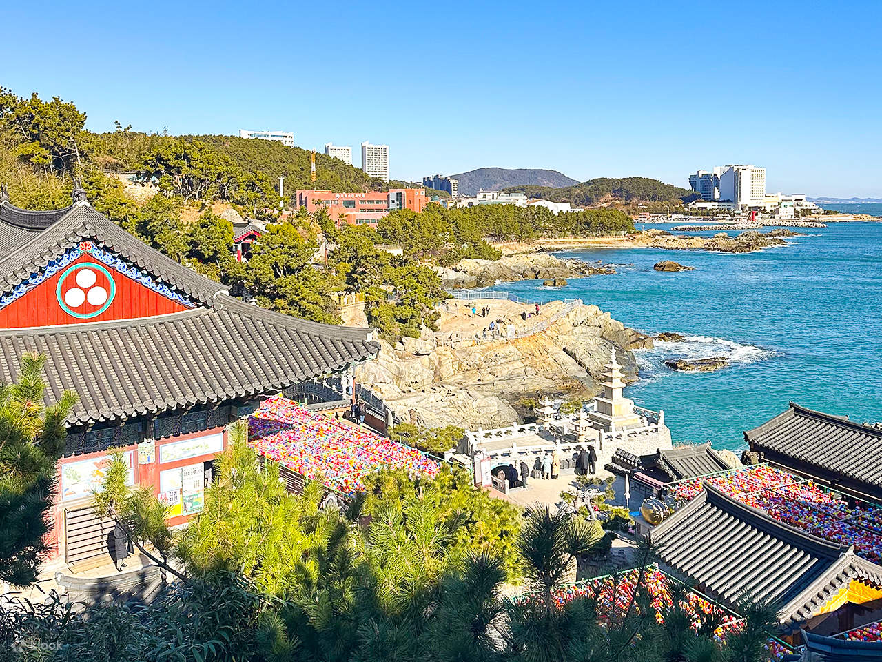 Busan Boutique Small-Group Experience for Cruise Guests (~12pax ...
