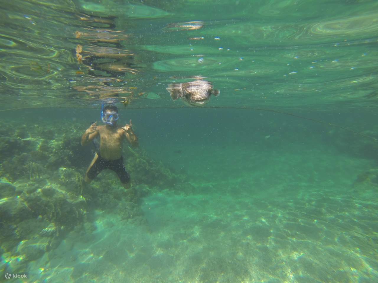 Марса Алам - Однодневная поездка в Rocky Valley Beach Camp 