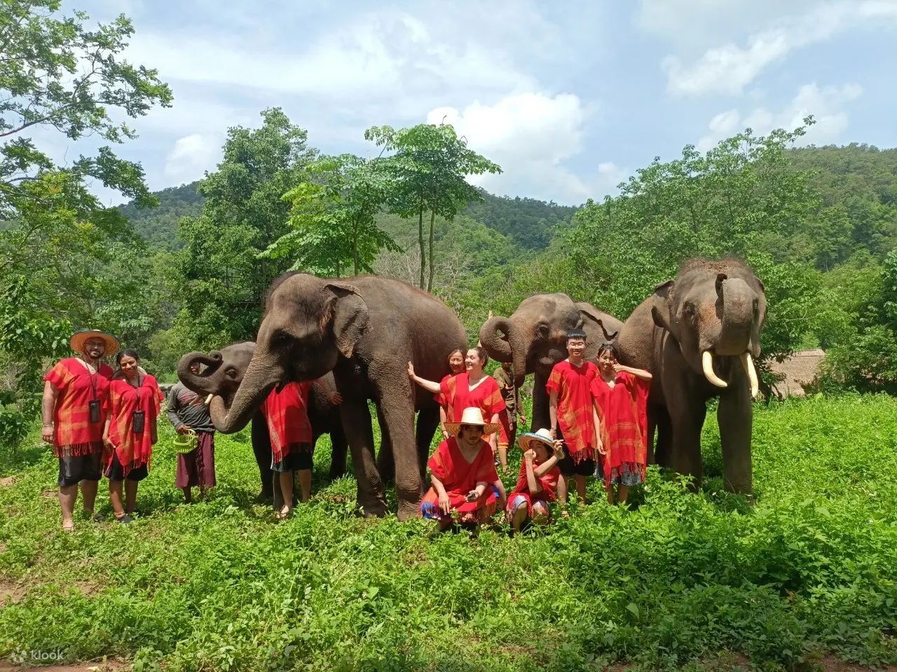 elephant day care chiang mai sanctuary
