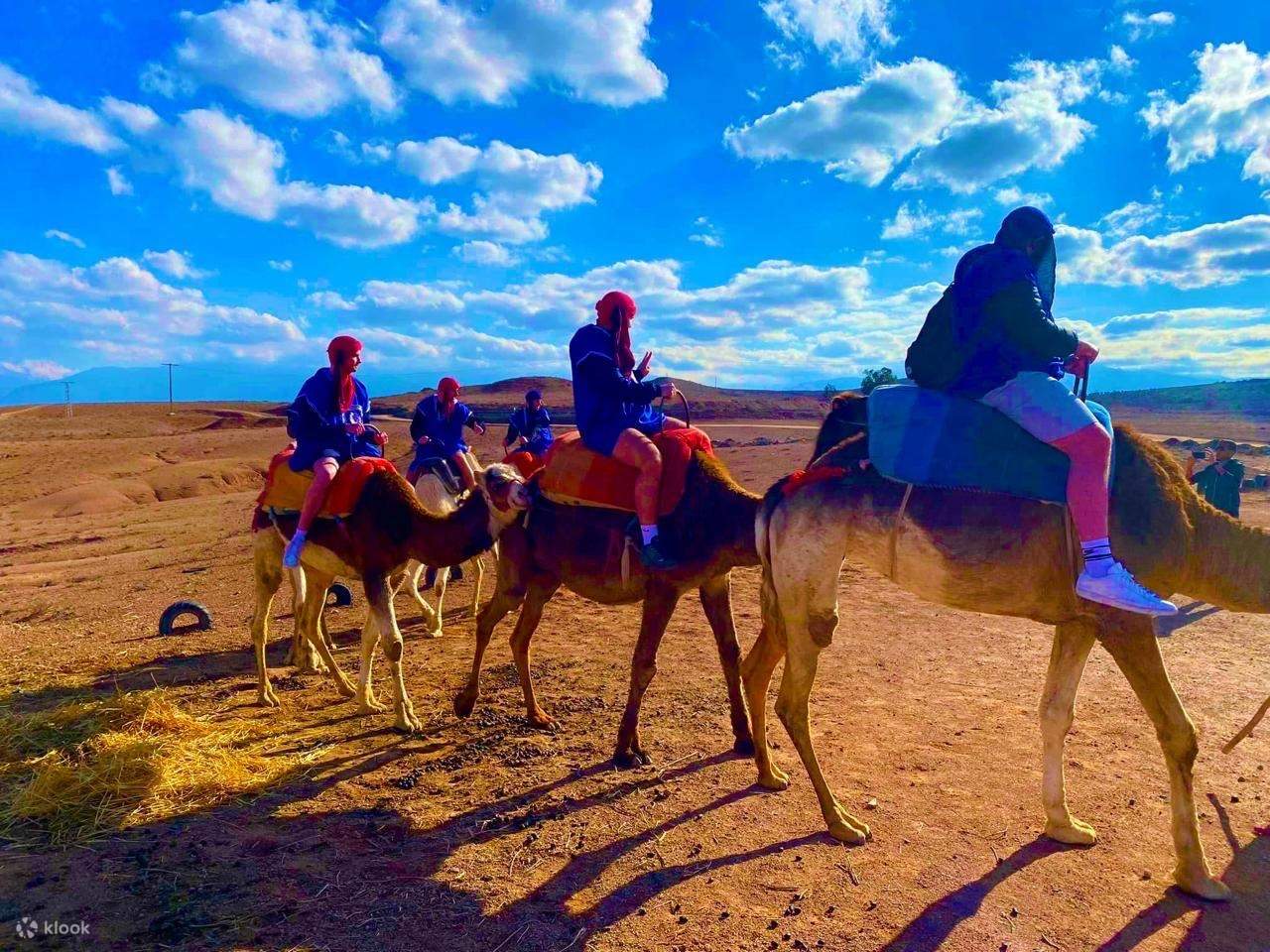Desert Adventure Quad Biking Camel Riding & Dinner Show in Agafay