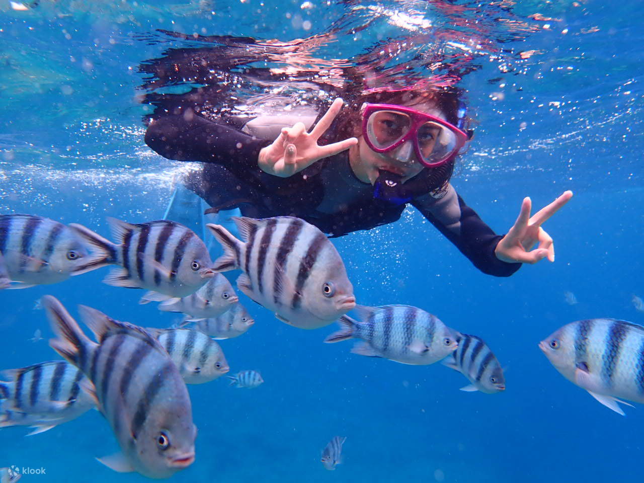 Blue Cave Snorkeling and Diving Experience in Okinawa Klook