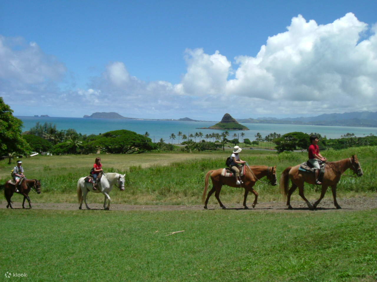 Reiten mit Blick auf das tiefblaue Wasser