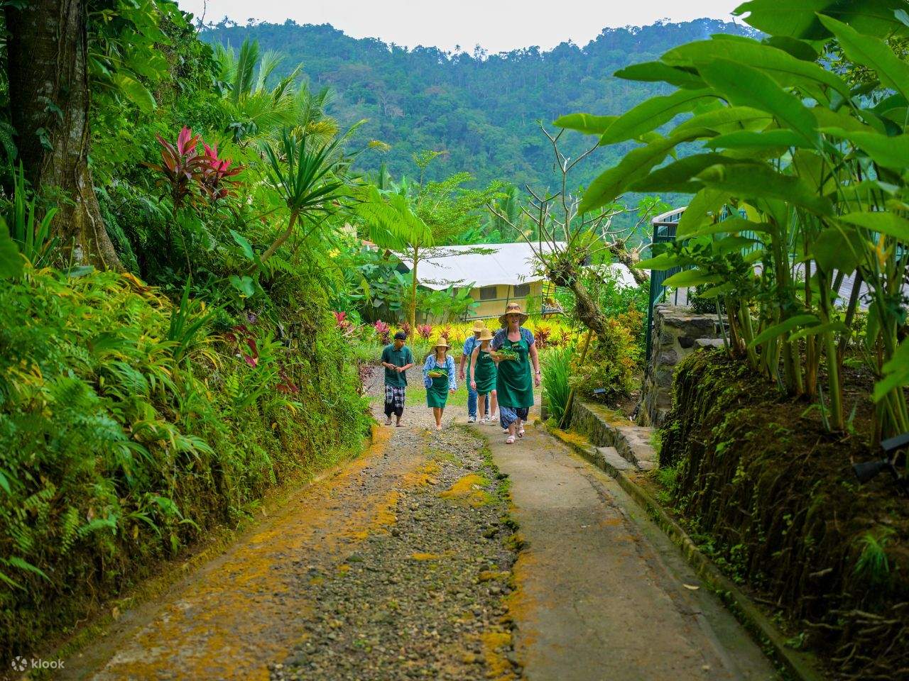 Kelas Memasak Kaura dan Lawatan Berjalan Kaki Kampung di Bali