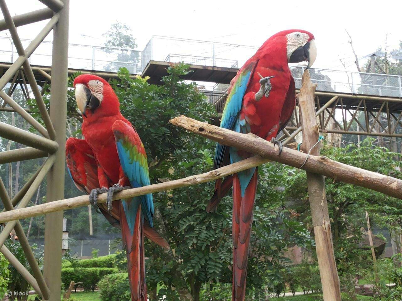 Melaka Bird Park 