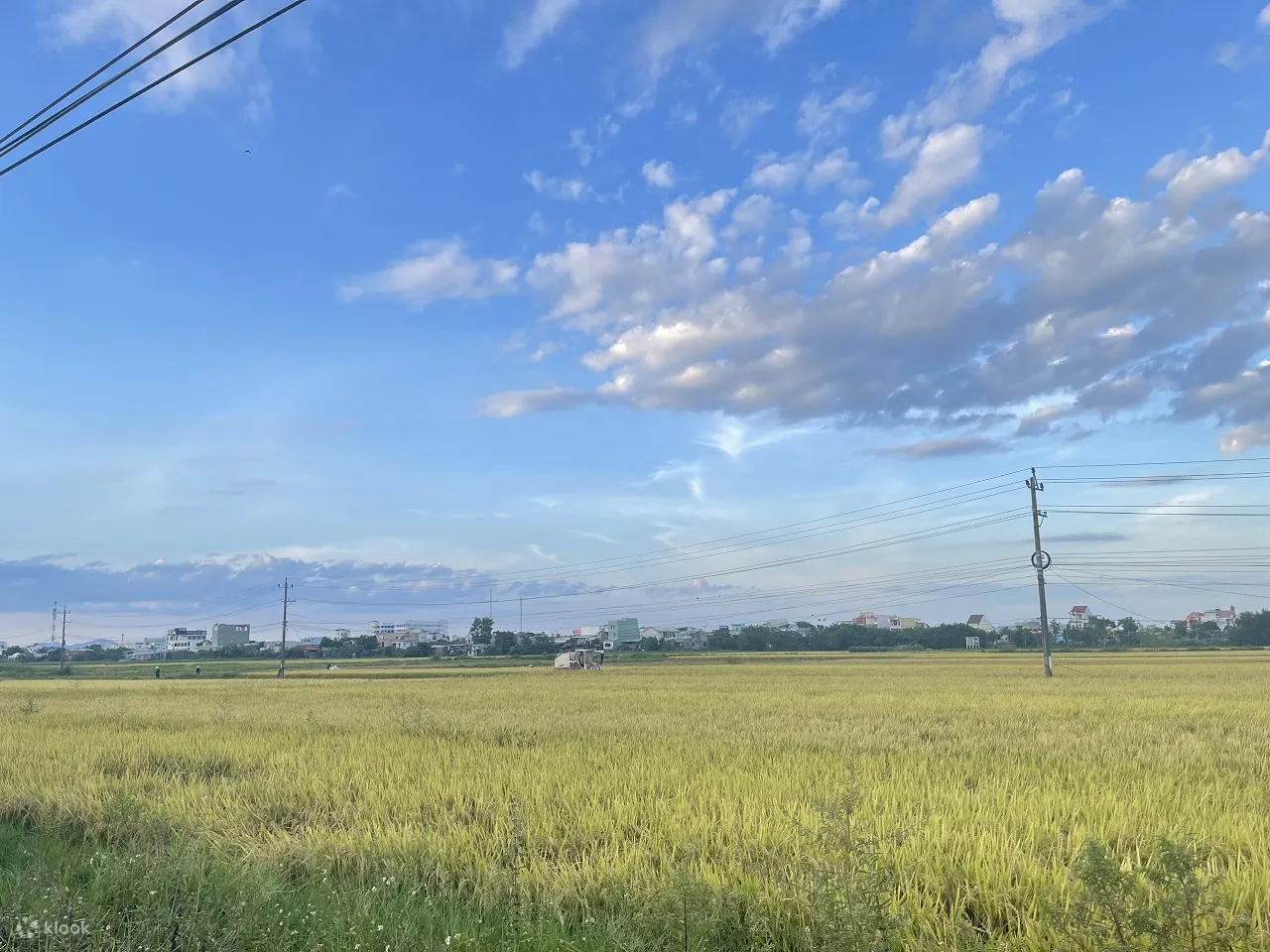 会安自行车和日落河游船体验