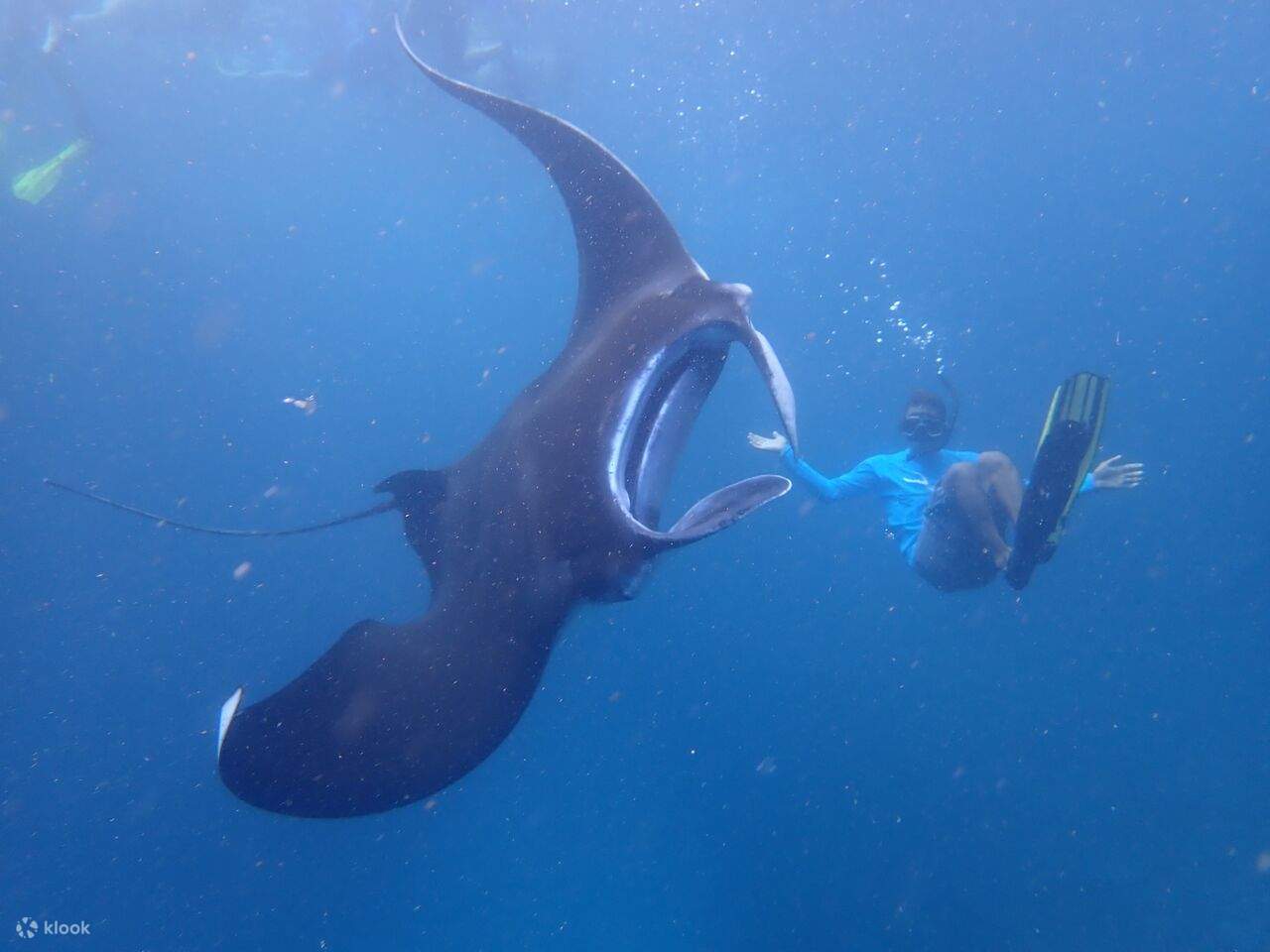 Snorkeling Day Tour in Nusa Lembongan and Nusa Penida from Bali Klook
