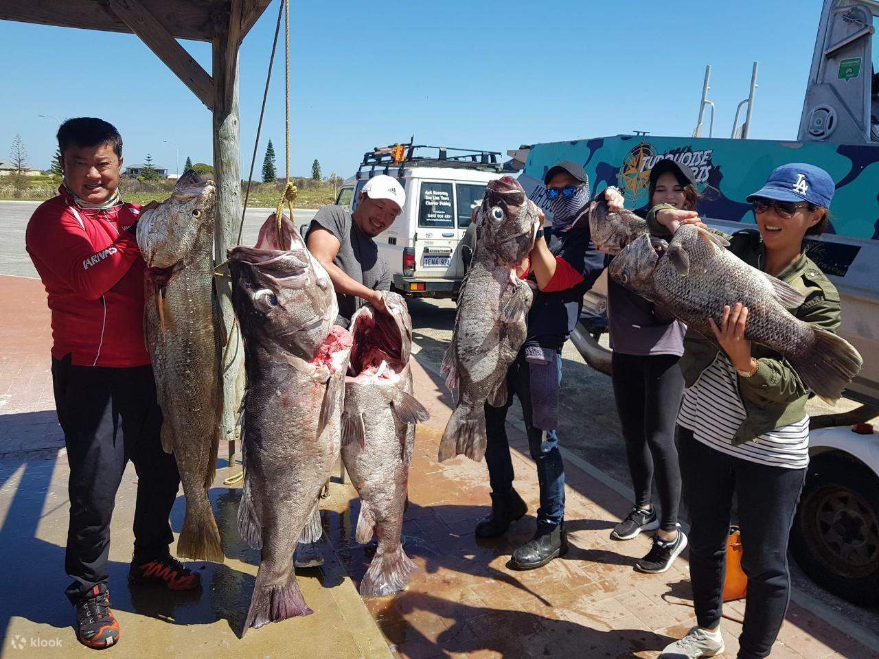Shared Fishing Charter at Jurien Bay in Perth, Australia Klook India