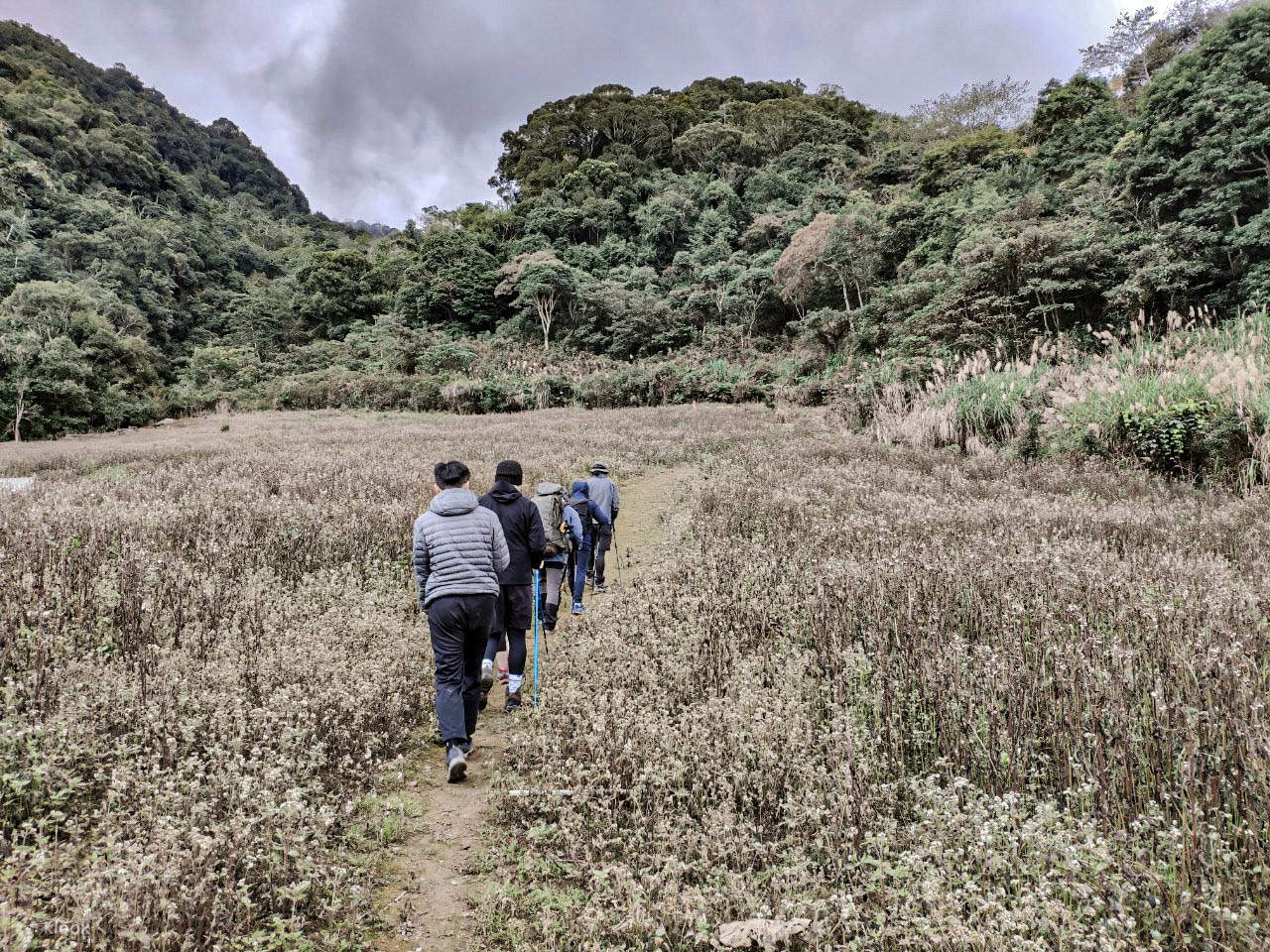 花蓮|大禮大同部落二日遊:同禮古道和砂卡礑林道�klzzwxh:0039� Klook 客路 花蓮|大禮大同部落二日遊:同禮古道和砂卡礑林道�klzzwxh:0039� Klook 客路