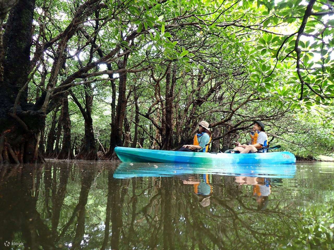 石垣島/包船 美麗海水上獨木舟之旅（贈送旅遊照片/免費接送）