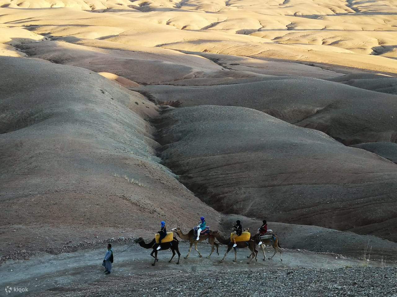 Paseo en Camello por el Desierto de Agafay