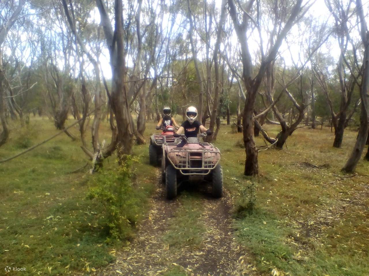 Quad a campo traviesa por el monte