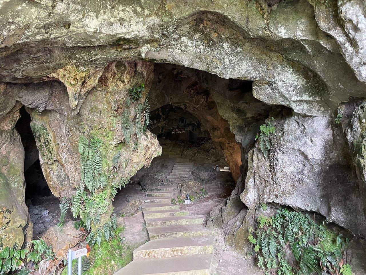 Avventura di speleologia a Kuching, Sarawak