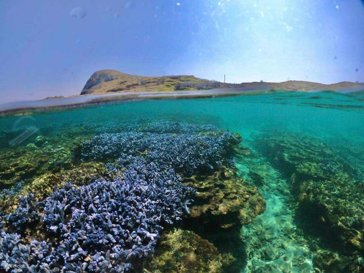探索著名的澎湖薰衣草森林，一窺紫色珊瑚礁秘境