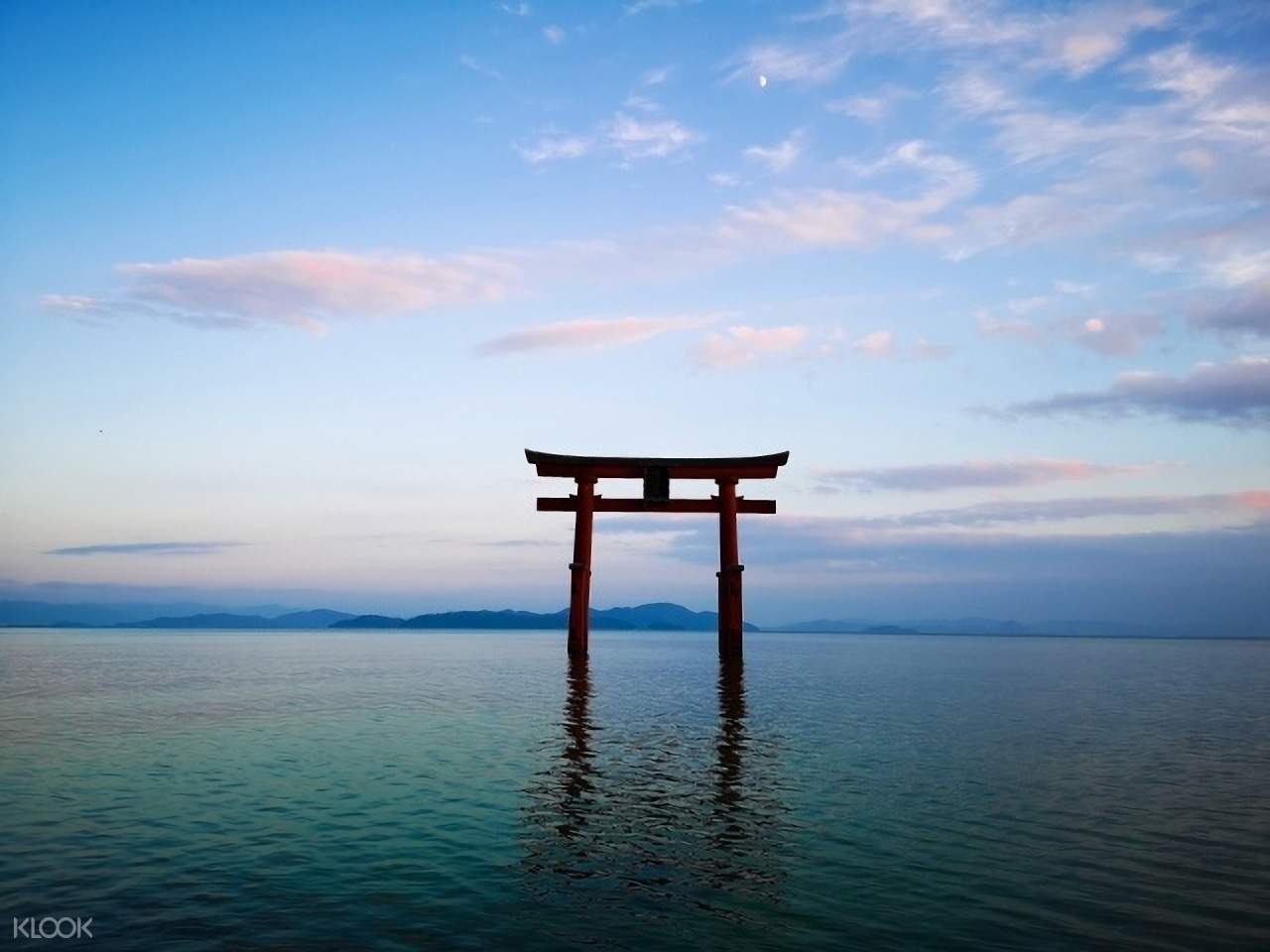 びわこ箱館山・若狭小浜 恵のひまわり畑・白鬚神社 日帰りツアー (大阪 