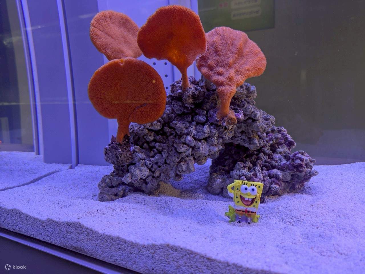 AOAO 札幌水族馆（北海道）
