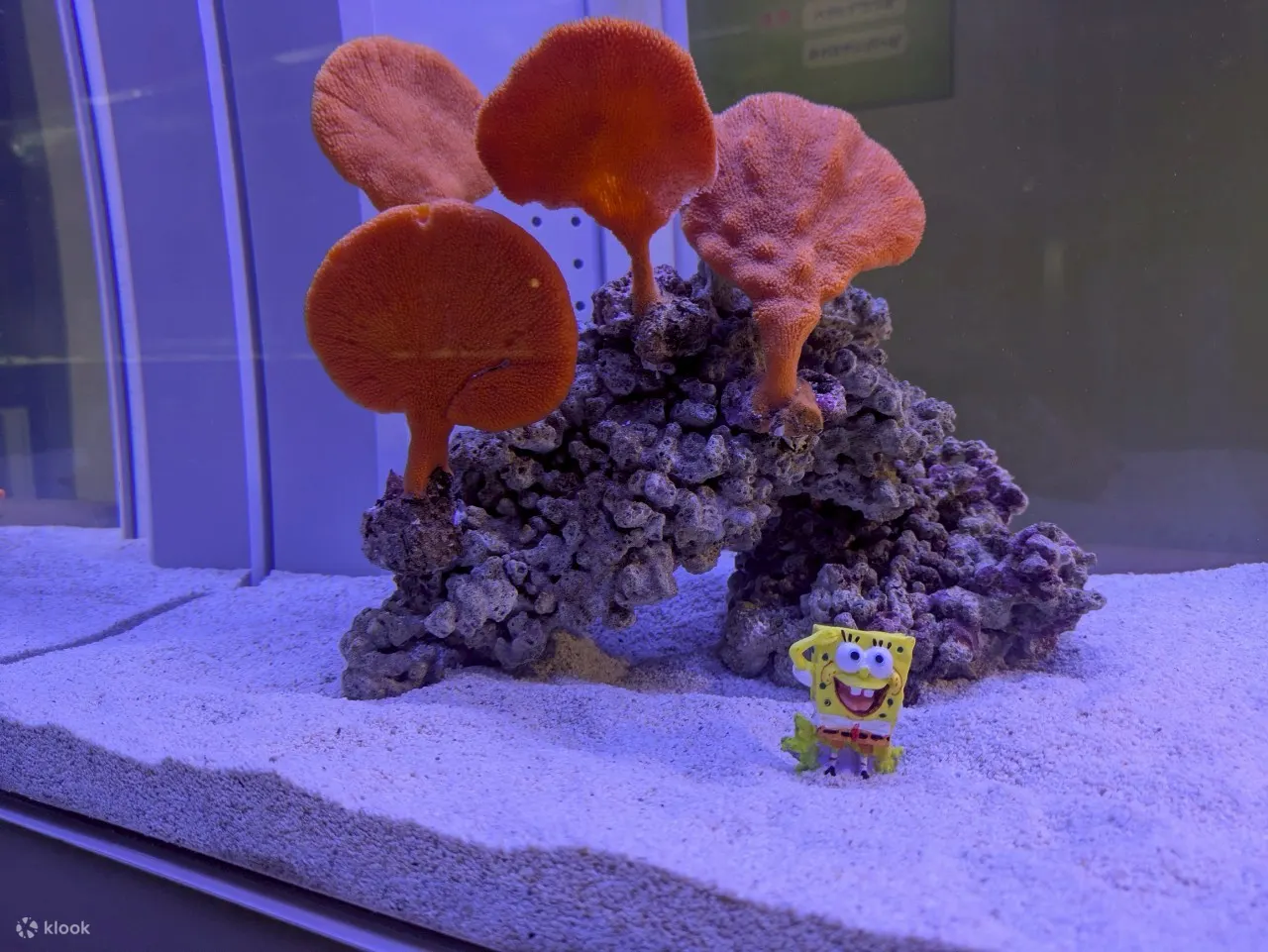 AOAO 札幌水族馆（北海道）