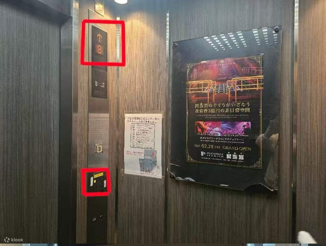 大阪：PICCADILLY PREMIUM 現場表演&夜總會 門票