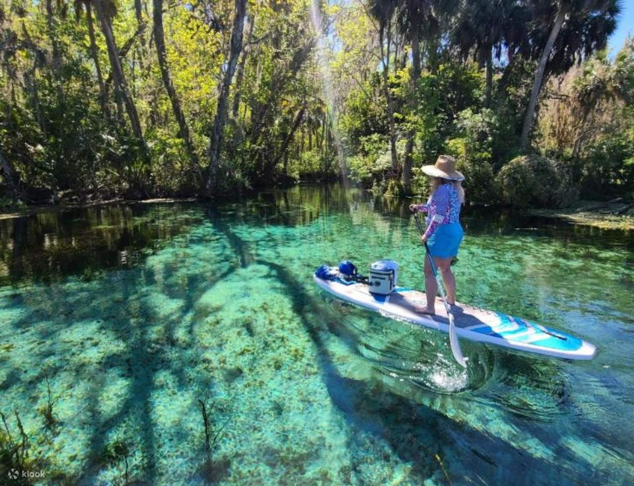Manatees and Monkeys Clear Kayak or Clear Paddleboard Adventure at S
