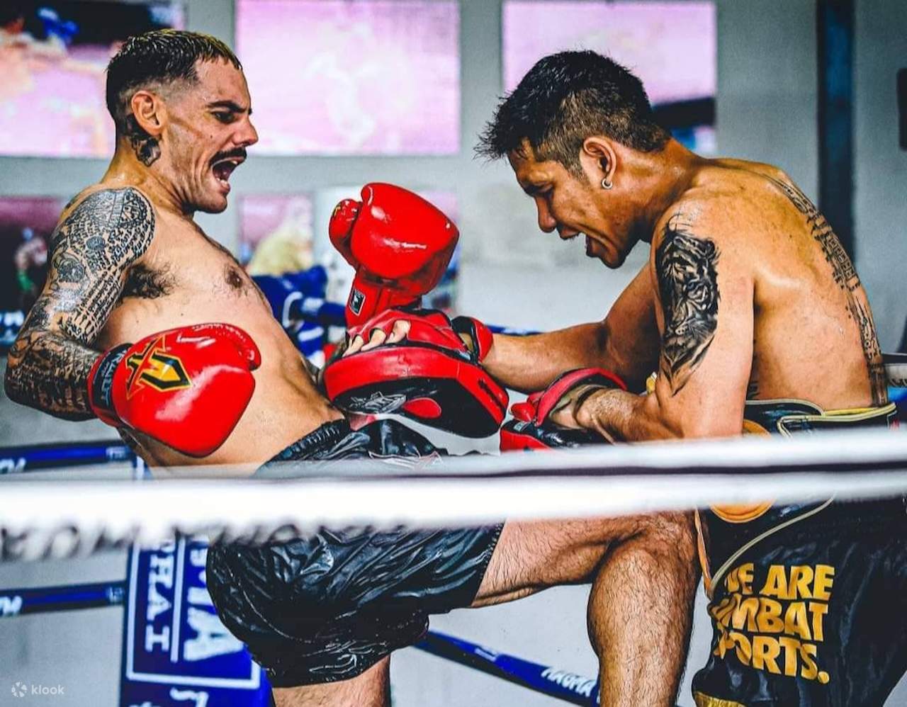 Es gibt verschiedene Clinch-Techniken, und viele nennen es die Kunst der acht Gliedmaßen, die üblicherweise Ellbogen, Fäuste, Knie und Schienbeine kombiniert.