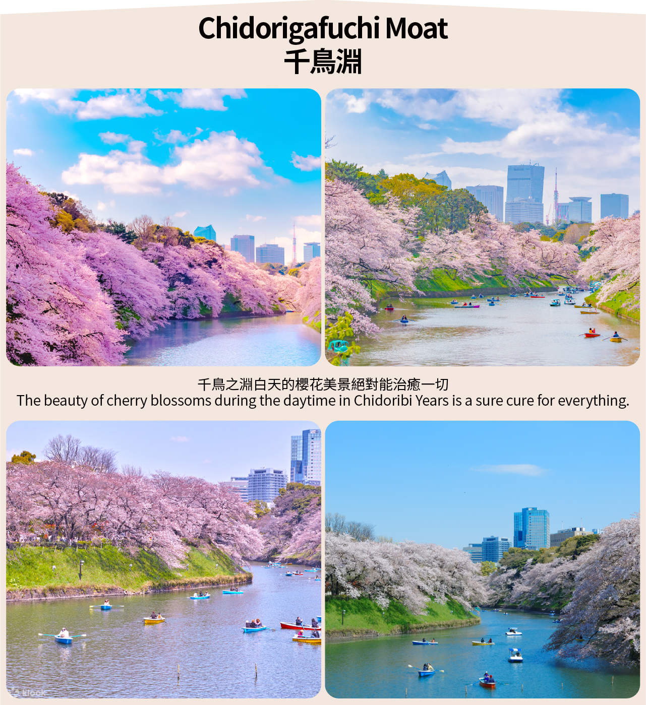 Ueno Onshi Park, Chidorigafuchi, and Meguro River Night Cherry