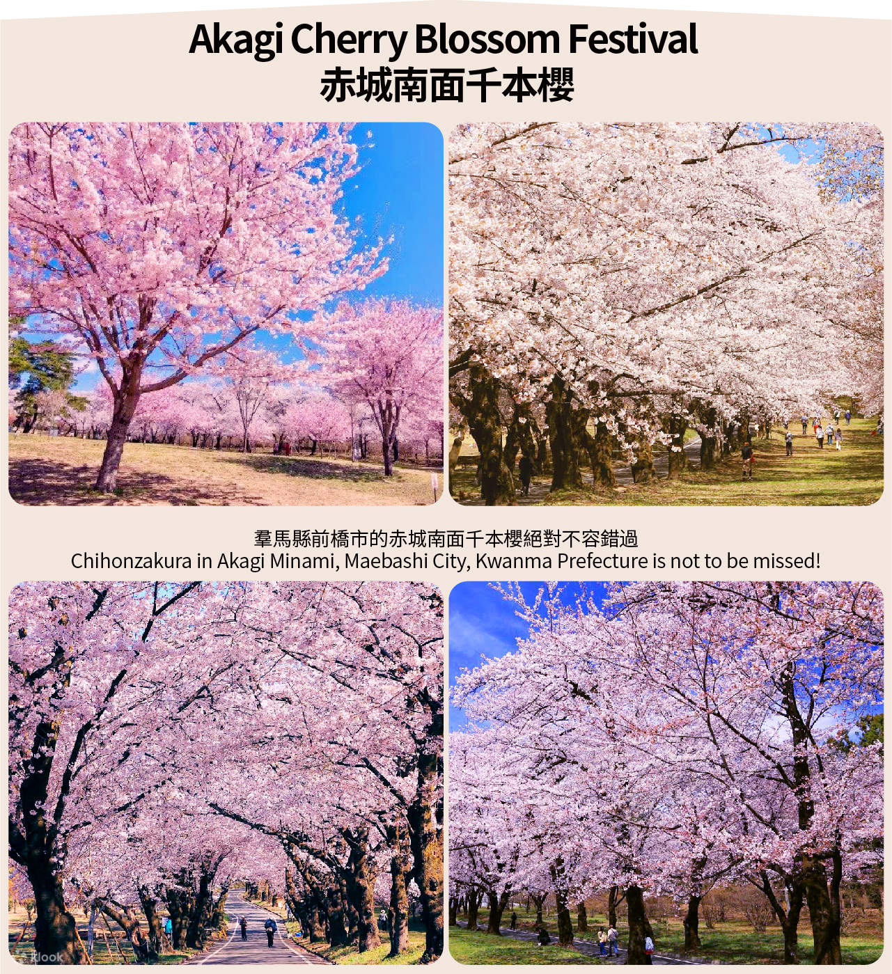 【櫻花季限定櫻花列車】渡良瀨川溪谷櫻花列車體驗&小夜戸花桃街道&赤城南面千本櫻賞櫻花一日遊(東京出發) - Klook 客路