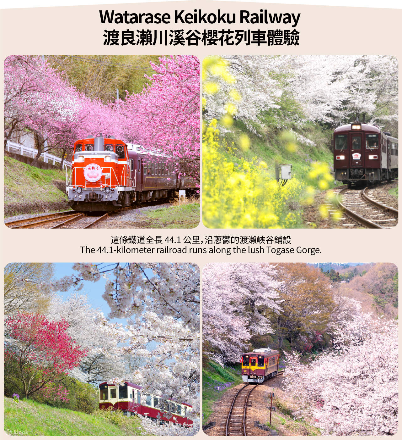 桜の季節限定 さくらトレイン】渡良瀬川渓谷さくらトレイン体験＆大与