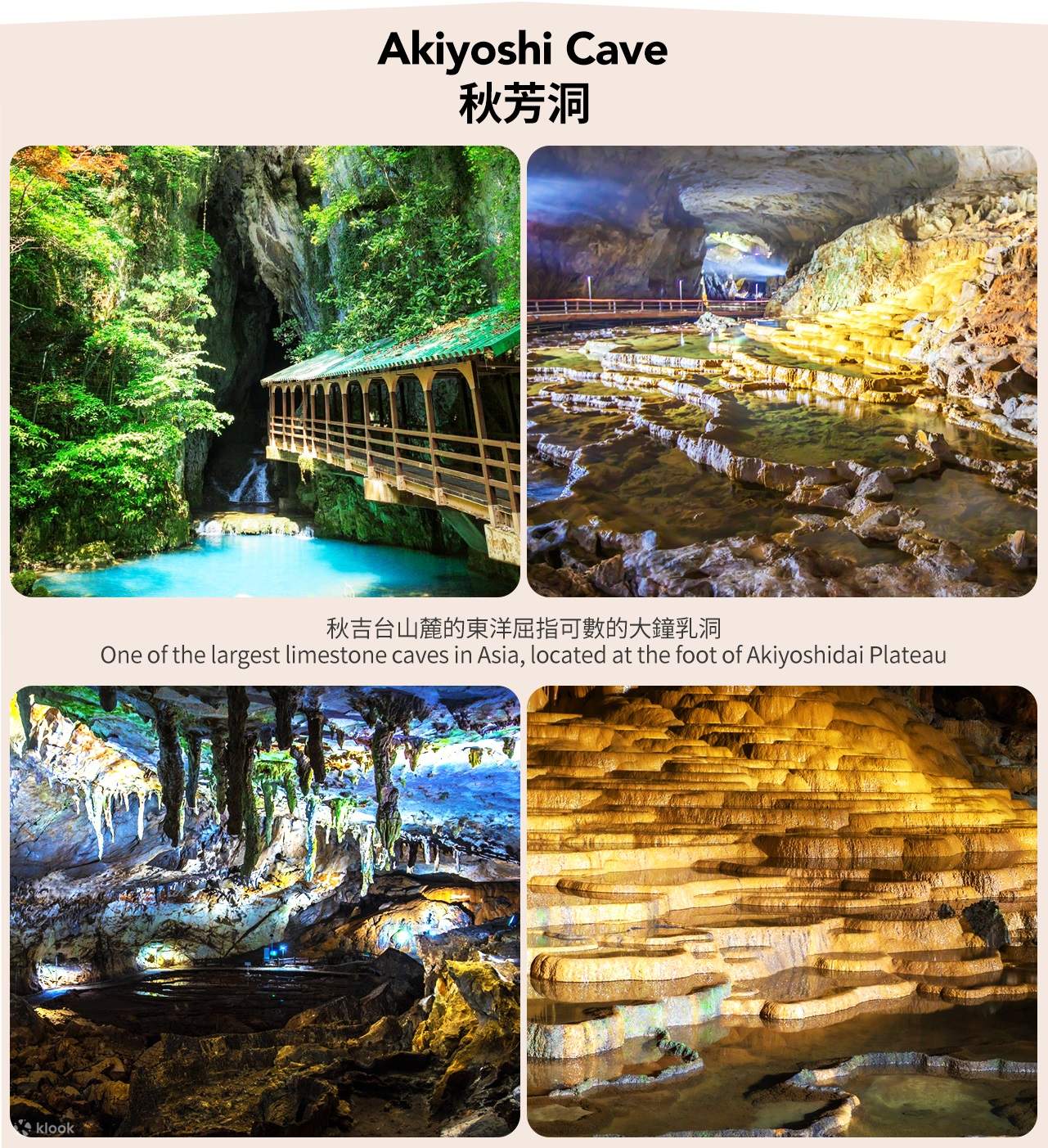 KAZE_TO_MORI カゼトモリ glow bridge KAZE_TO_MORI カゼトモリ glow bridge KAZE_TO_MORI (カゼトモリ