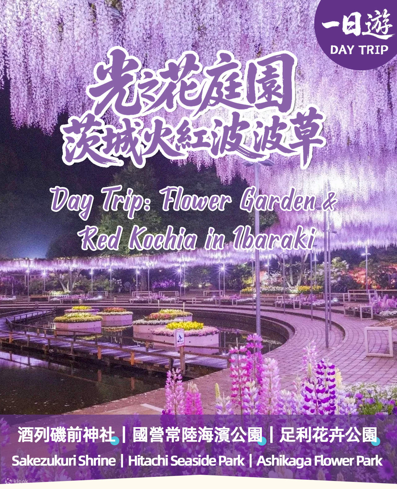 Isonoura Isozaki Jinja Shrine, Hitachi Seaside Park & Ashikaga