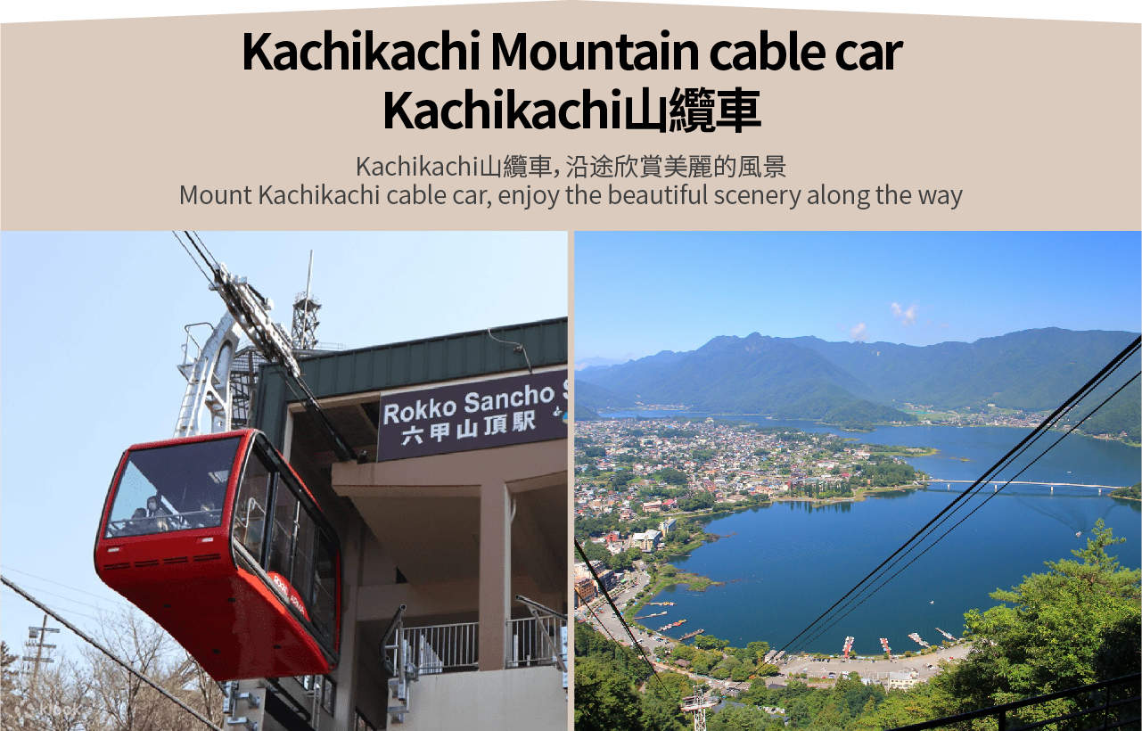 富士山＆箱根＆鎌倉＆伊豆 ネットセレブ人気チェックイン＆温泉