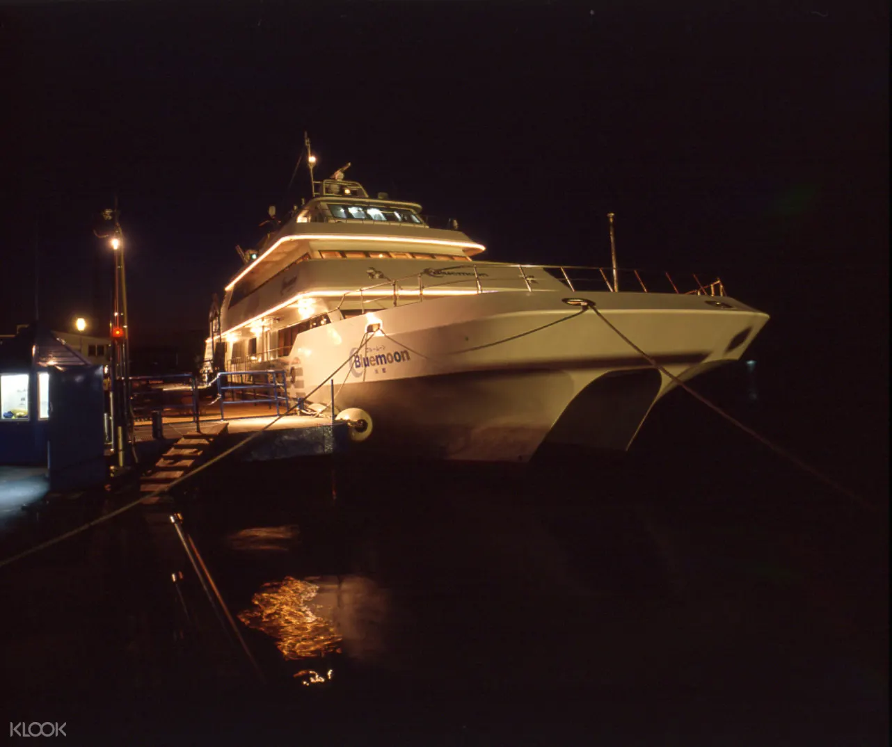 47+ Saki Cruise PNG