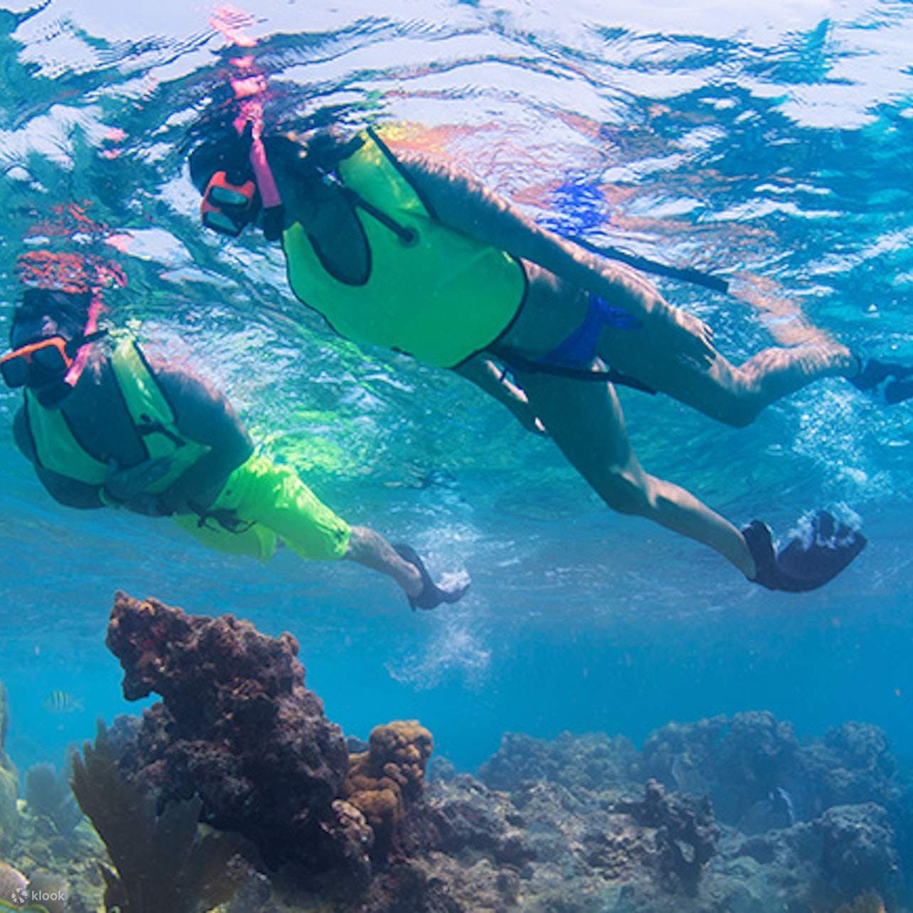 Key West Double Dip Snorkel Trip in Florida Klook Australia