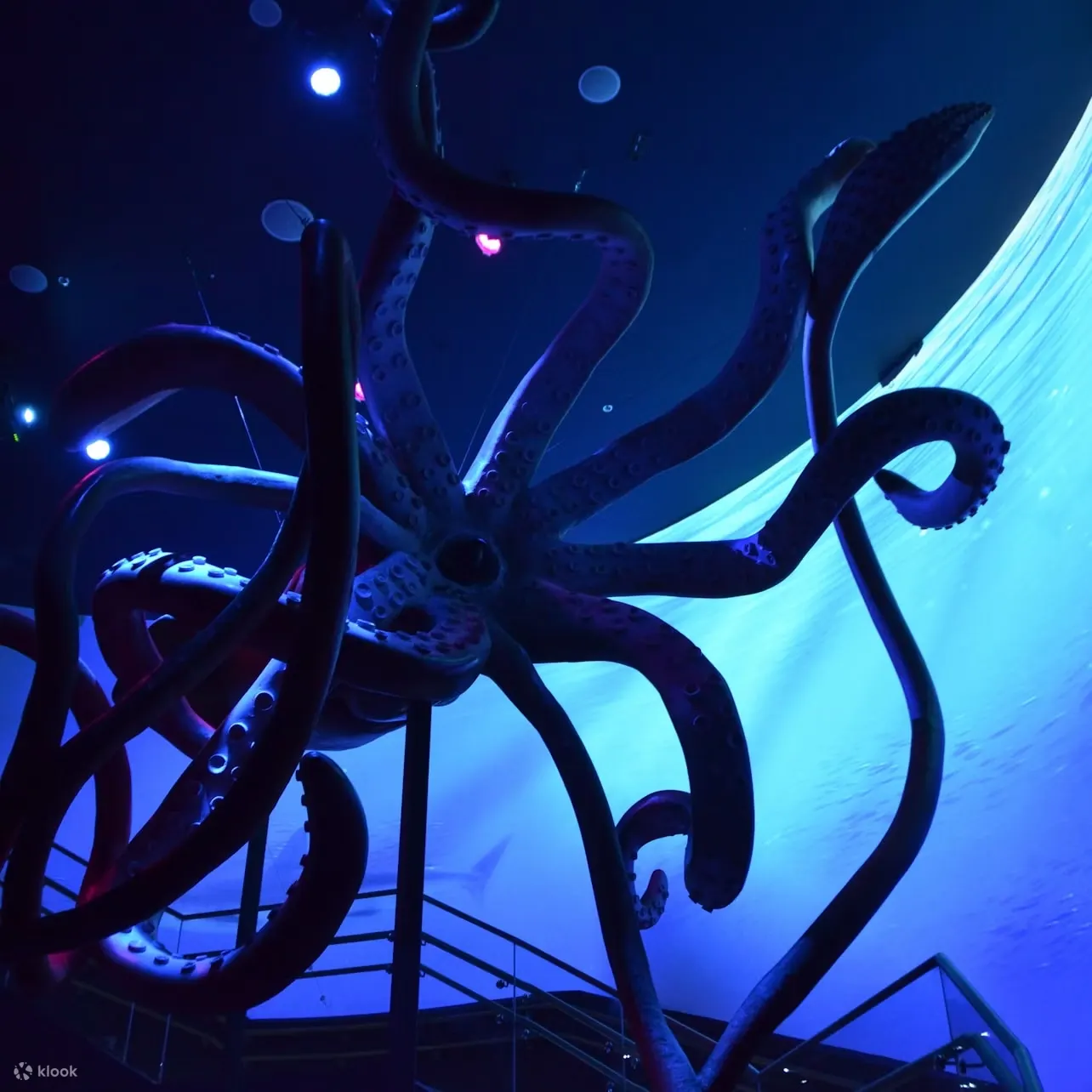马德里亚特兰蒂斯水族馆门票