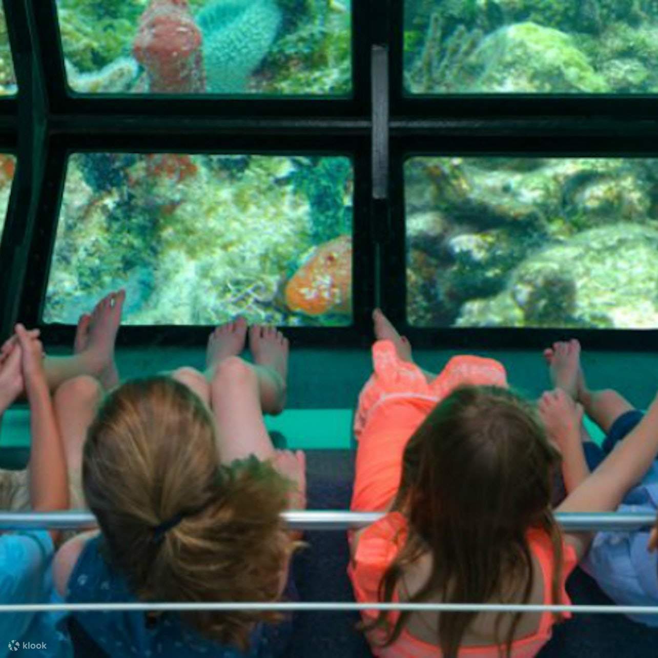Glass Bottom Boat Key West Tour in Florida Klook