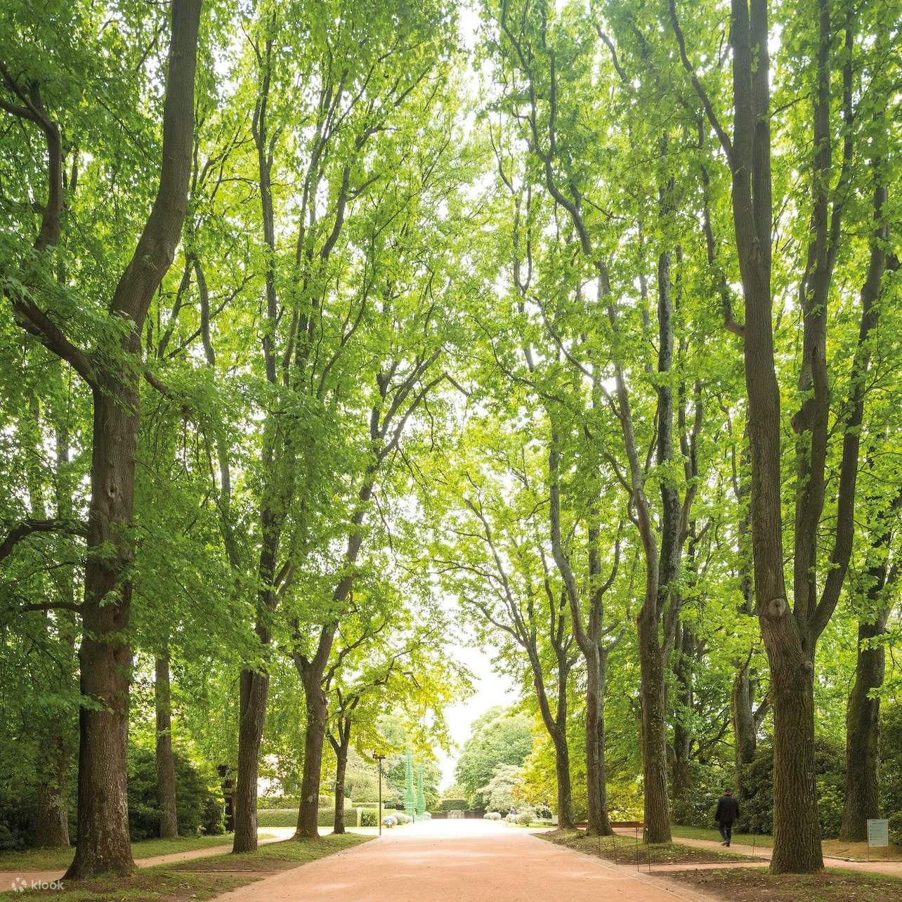 serralves-foundation-admission-klook-india