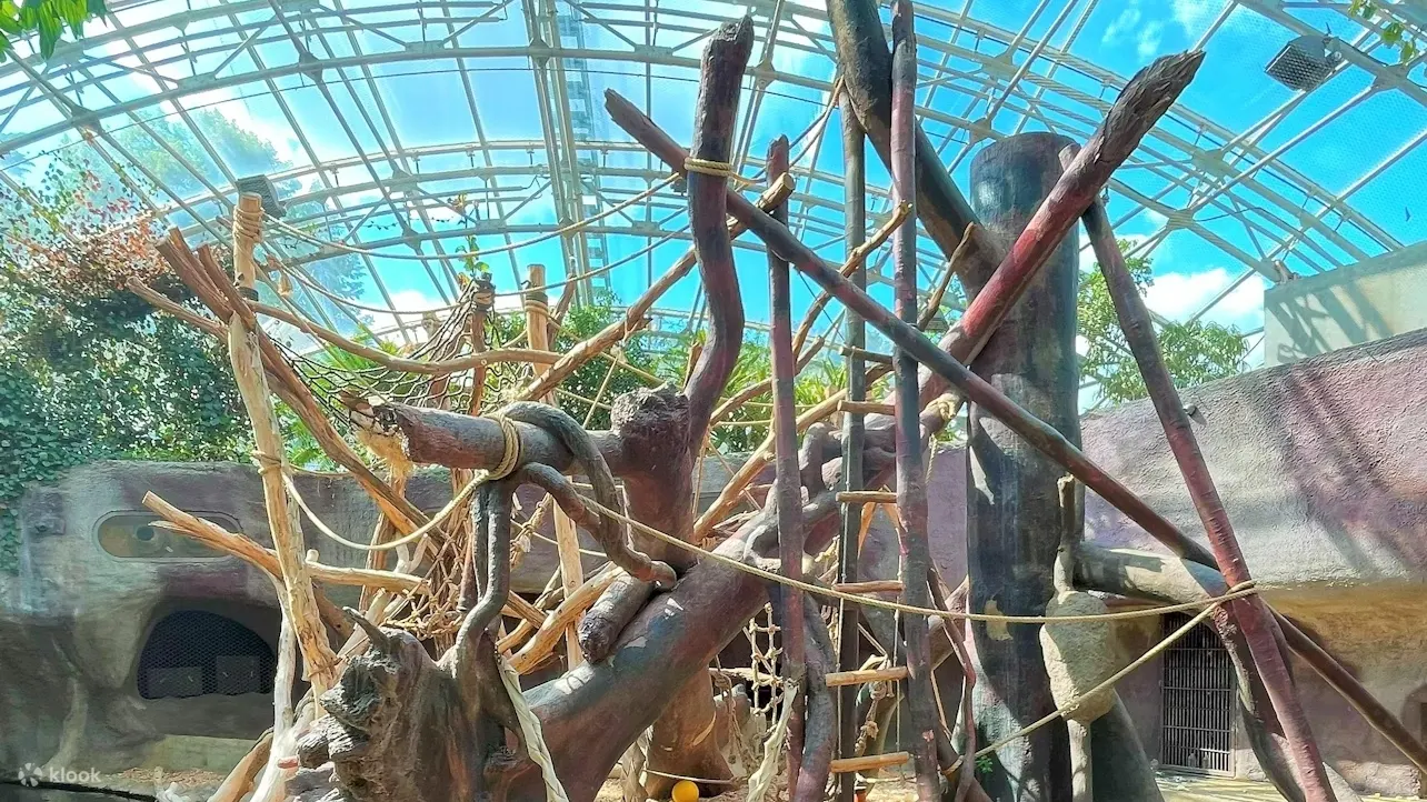 借助语音导游，探索布拉格动物园的野生动物奇观