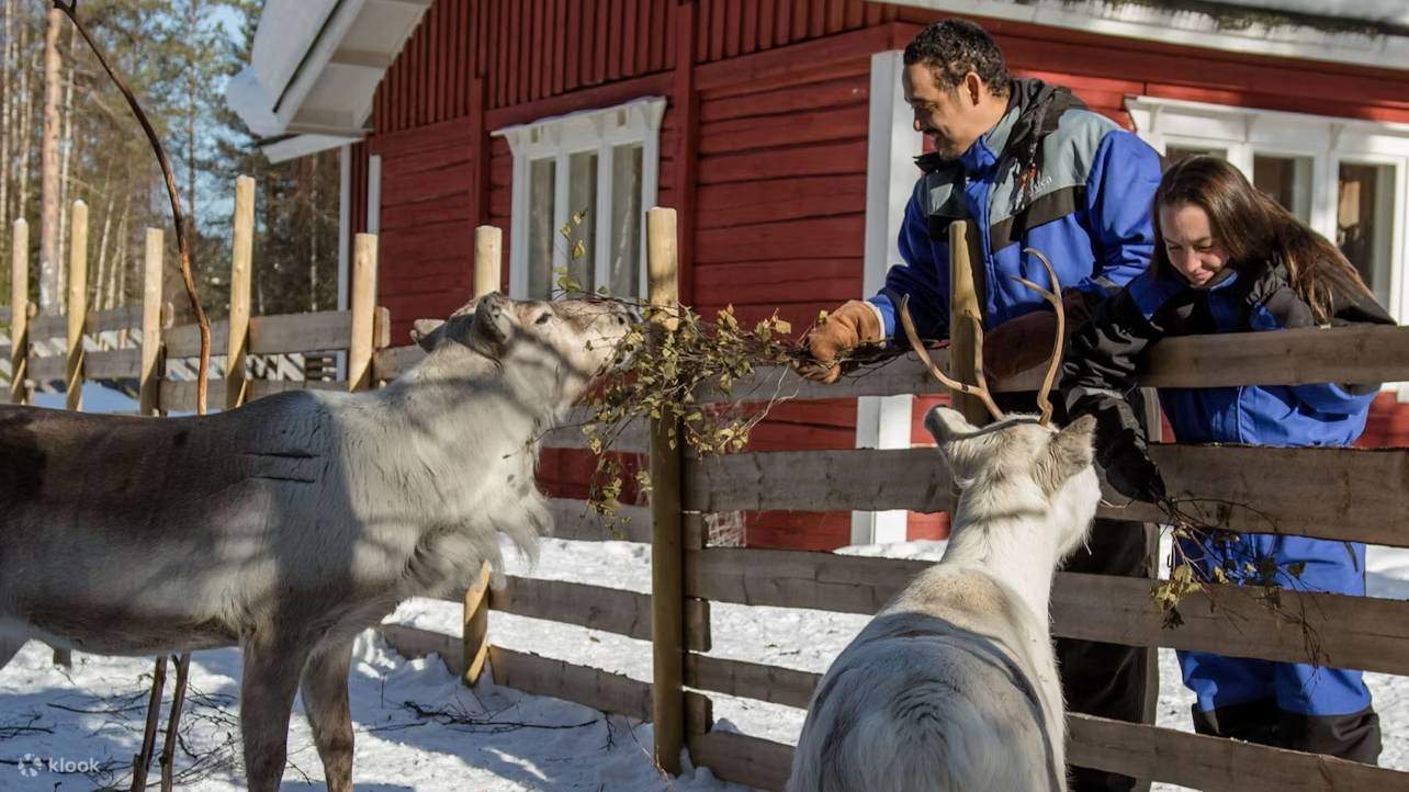 Santa claus village snowmobiling to reindeer farm in rovaniemi klook