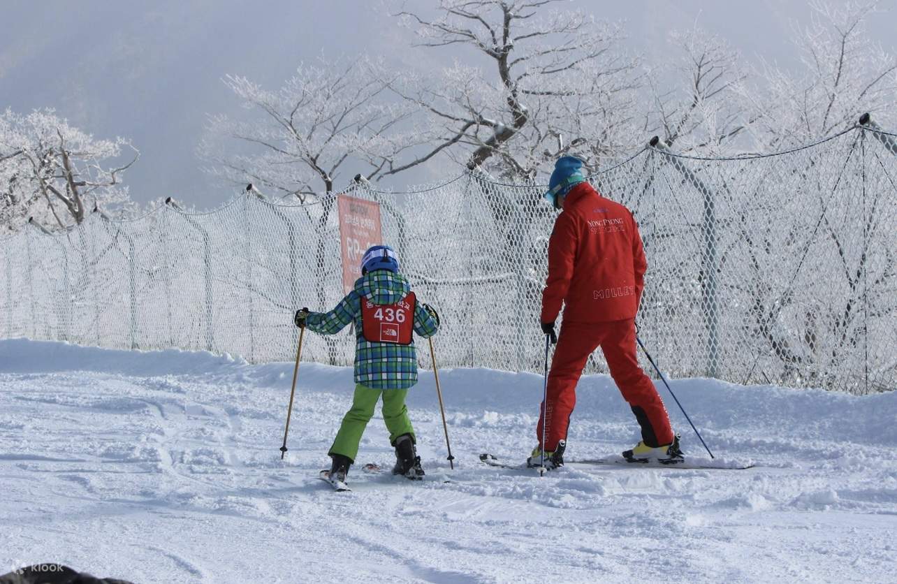 Yongpyong Official Ski School Ski Lesson