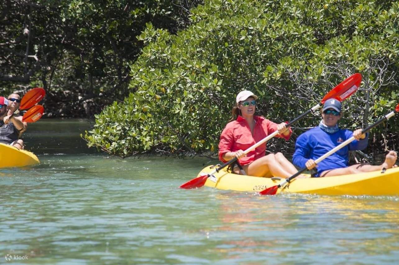 Key West Island Eco Tour with Kayak and Snorkeling from Miami Klook