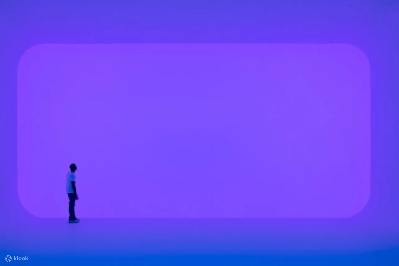 站在紫色屏幕前的男人