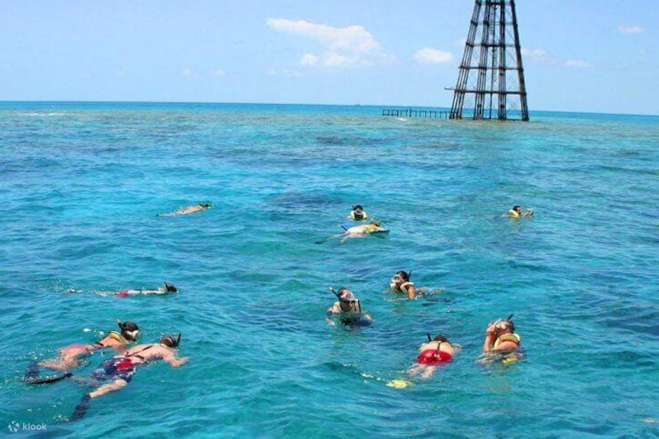 Mọi người bơi trên biển