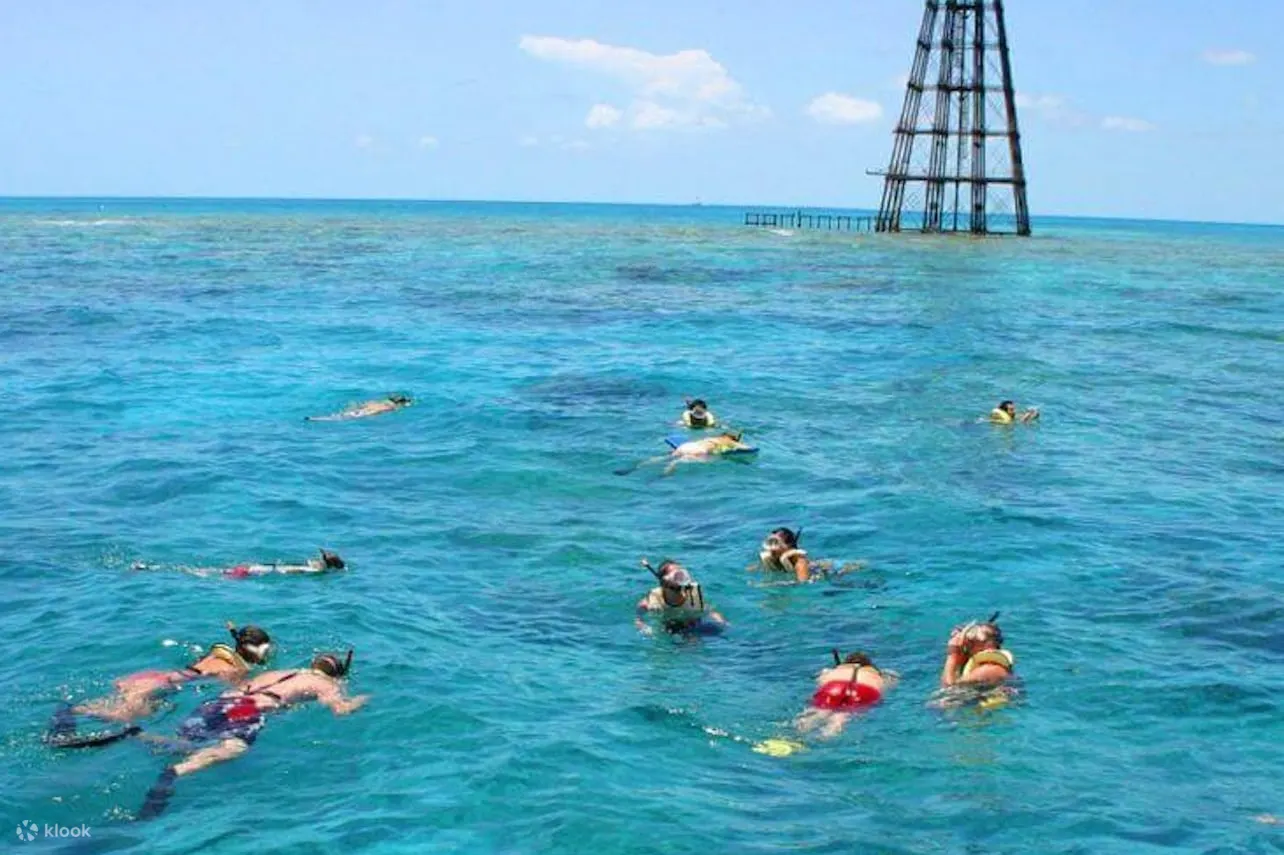 人们在大海中游泳