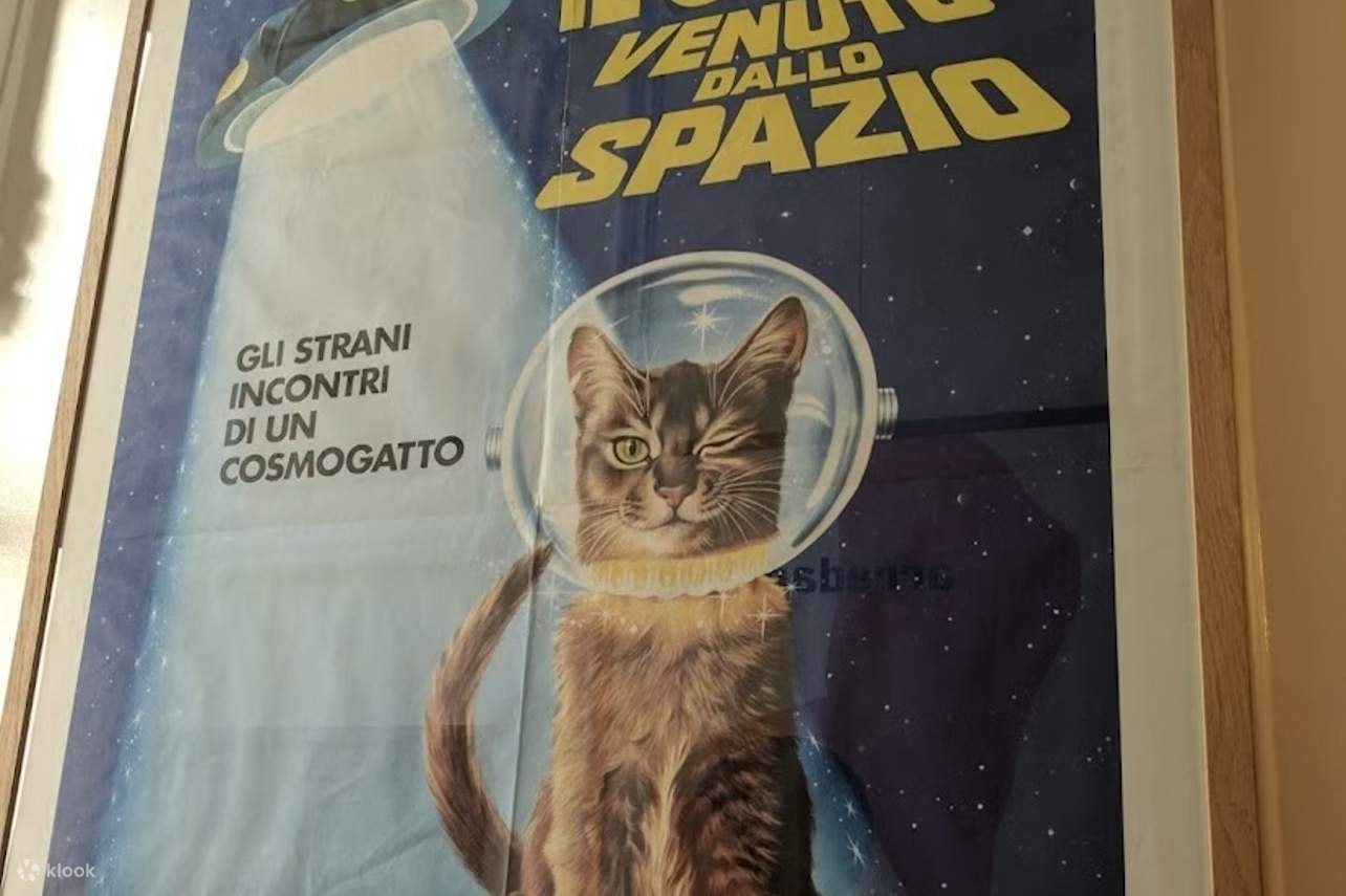 アムステルダムのヘルメットをかぶった猫のポスター