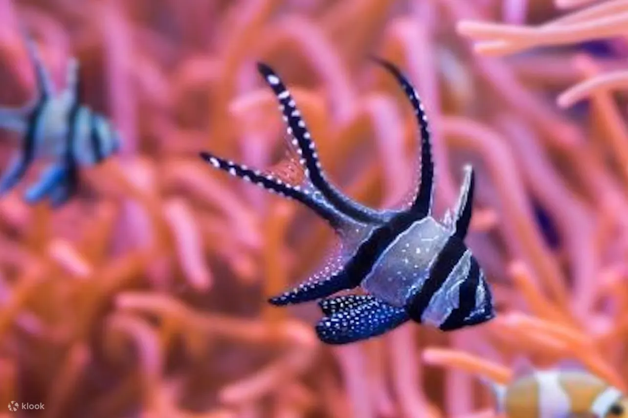 塞维利亚水族馆景观