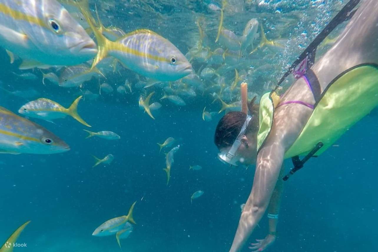 물고기와 함께 수영하는 여자