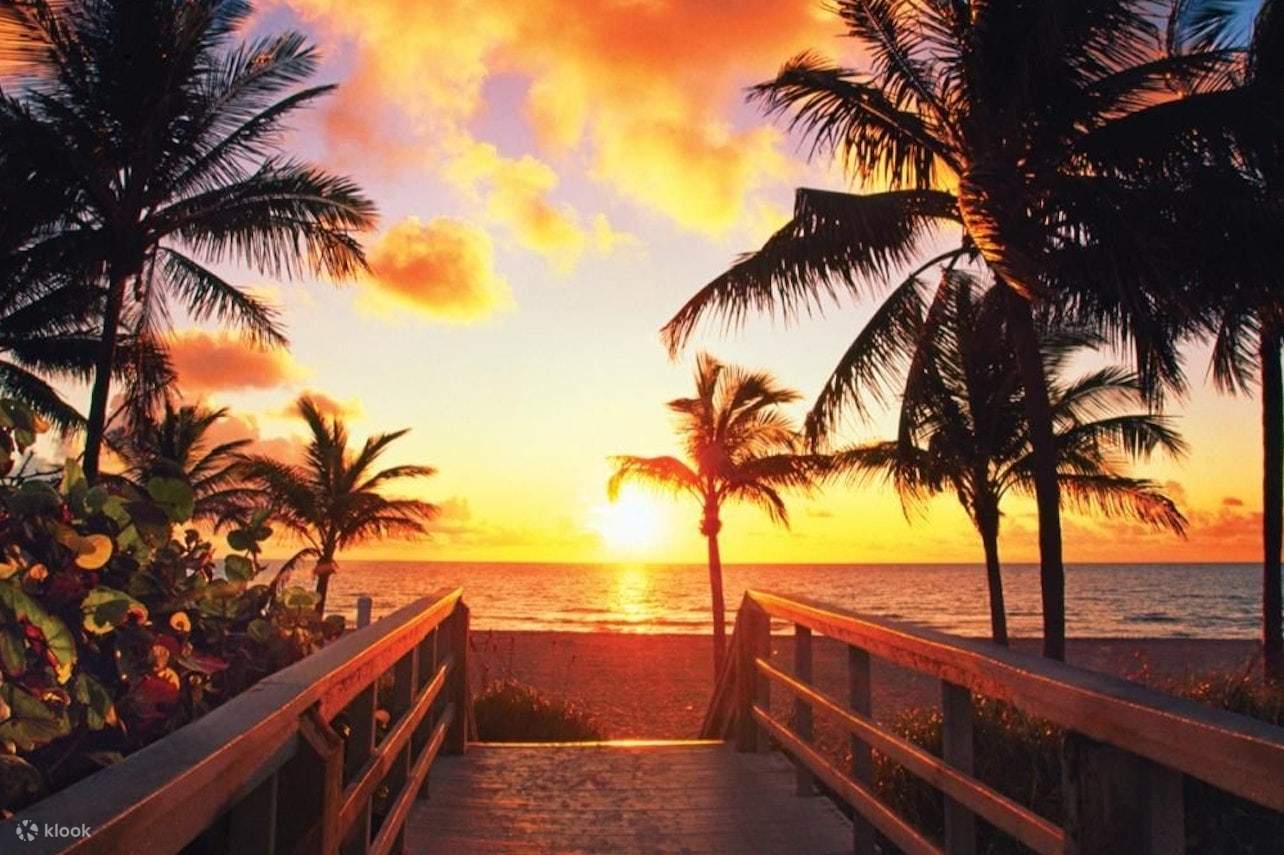 Key West Island Eco Tour with Kayak and Snorkeling from Miami Klook