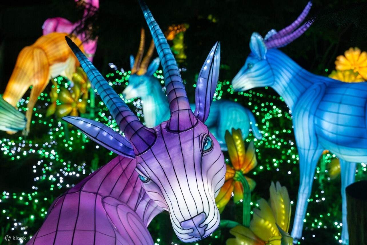 duree luminescences zoo amneville